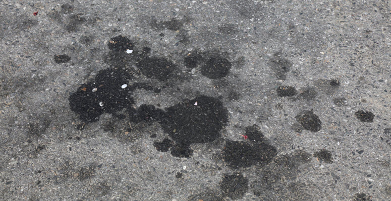 Volkswagen Oil Leak